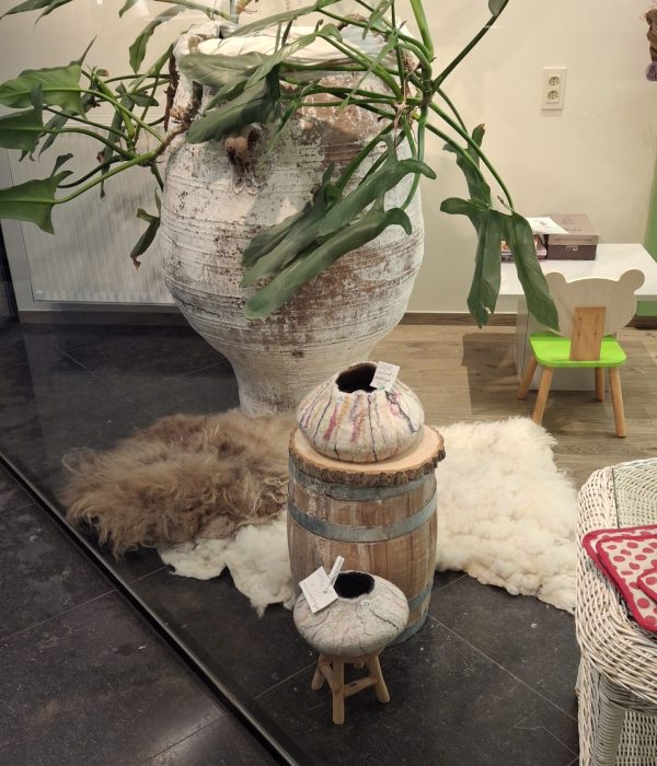 Etalage-winter2025-4